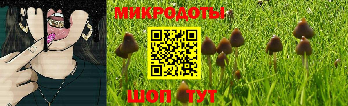 Галлюциногенные грибы Cubensis  Вход с VPN  купить закладку  Галлюциногенные грибы Psilocybine cubensis  Электрогорск 